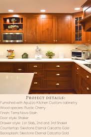 apuzzo kitchens custom cabinetry