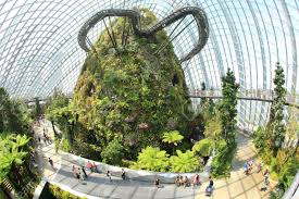 It goes without saying, this is a heck of an experience! Singapore Feb 1 The Supertree Grove Cloud Forest Flower Dome Stock Photo Picture And Royalty Free Image Image 26116523