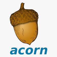 Nuts Vector Acorn Bellota Dibujo Png 1562719 Png Images Pngio Dentro de este género, hay numerosas especies arbóreas que dan bellotas como el roble, la encina, el alcornoque, el quejigo y el melojo. nuts vector acorn bellota dibujo png