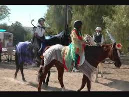 Check spelling or type a new query. Horses In Halloween Costumes Youtube