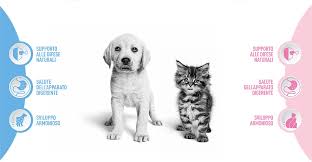 Puo' esistere un divezzamento uguale per tutti? Concorso Royal Canin Birth Growth Vinci 1 Anno Di Alimentazione Per Il Tuo Amico A 4 Zampe Scontrino Felice