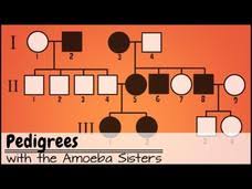 We also love empowering teachers and student. Pedigrees Lesson Plans Worksheets Reviewed By Teachers