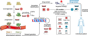 Each year an annual report is produced to highlight the activities and achievements of pdac. Preclinical Models Of Pancreatic Ductal Adenocarcinoma Challenges And Opportunities In The Era Of Precision Medicine Journal Of Experimental Clinical Cancer Research Full Text