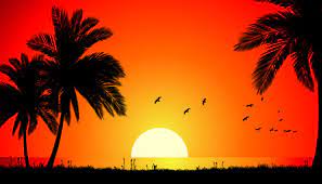 Landscape sky dusk beauty beach. Sunset Landscape Tree Free Vector Download 7 159 Free Vector For Commercial Use Format Ai Eps Cdr Svg Vector Illustration Graphic Art Design
