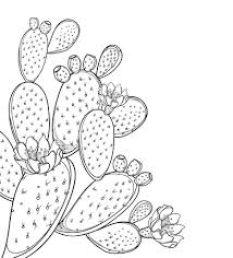 Search free cute cactus ringtones and wallpapers on zedge and personalize your phone to suit you. 6 795 Black And White Cactus Cliparts Stock Vector And Royalty Free Black And White Cactus Illustrations