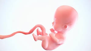 Sementara bibirku masih tetap terus memagut, tanganku mulai menggerayangi tubuh ibu mertuaku itu. Penjelasan Di Balik Bayi Bisa Tersenyum Di Dalam Kandungan