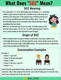Soz Meaning What Does Soz Mean Useful Text Conversations Slang Words Informal Words Words