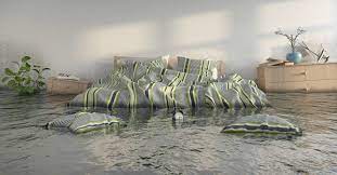 Use a bucket of water and disinfectant to wipe the area completely. 7 Steps To Clean Up Water In Your Basement Cleanusa