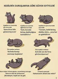 Mantar In Maceralari Miyu Halleri 1 Kedi Kedileri Seviyorum Kediler Ve Yavrulari