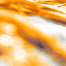 Imagery In Poetry | Ppt