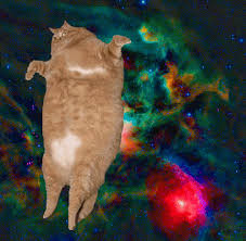 Animated Gifs Of Cats Floating Amongst Galaxies Designtaxi Com Space Cat Space Animals Cute Cats And Kittens