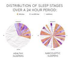 Rant Narcolepsy Chart Sleep Apnea What Is Sleep Apnea