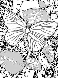 Education Coloring Packs Quivervision 3d Augmented Reality Color Activities Augmented Reality Prints