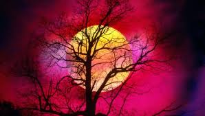 Image result for beautiful photos of samhain celebration