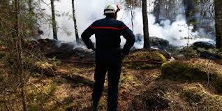 EN DIRECT, incendies : les deux feux de la forêt de Fontainebleau sont « fixés » ; quatre personnes toujours en garde à vue, dont un pompier volontaire, qui a reconnu les faits