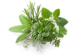 Image result for herbs
