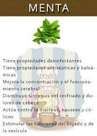 Las Abuelas Un Mundo De Sabiduria Poder Curativo De La Menta Productos Para La Salud Recetas Para La Salud Remedios Para La Salud