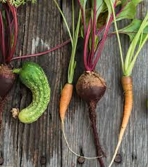 Eaux Detox En Quoi Elles Consistent Et Comment Les Realiser Marie Claire Belgique
