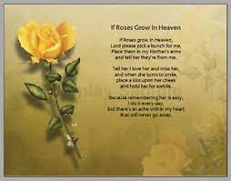 If roses grow in heaven brother. Rose Quotes For Heaven Quotesgram
