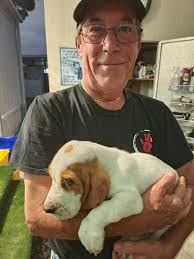 My husband and I have had many shelter pets in our family for many years.  This was our first time working with the breeder Mr Paul Murray7 and while  we did our