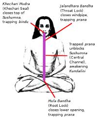 Chida Nanda Mention Important Mudras And Bandhas For Facebook