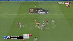 On mobile and touchscreens, press down on the gif for a couple of seconds and the save option will. Top 30 Geelong Cats Gifs Find The Best Gif On Gfycat