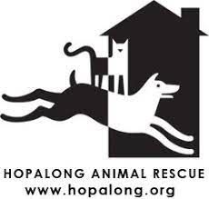 Search for other animal shelters in mill valley on the real yellow pages®. Pets For Adoption At Hopalong Animal Rescue In Oakland Ca Petfinder