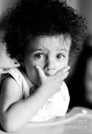 Highchair Photos for Sale