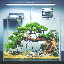 Aquarium Decorations In 2020 Aquarium Landscape Aquascape Design Aquarium Design