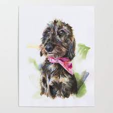 Lulu the Wire Haired Standard Dachshund #115 Poster by edthedoc | Society6