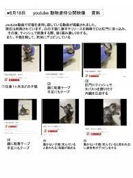 残忍な猫の殺害動画がアップ！ 犯人を捜しましょう！」 | デヴィ夫人オフィシャルブログ Powered by Ameba