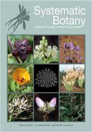 Image result for Hypertelis bowkeriana