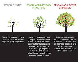 Începuturile nu sunt niciodată ușoare. Brd Pensii Arhitectura Sistemului De Pensii In Romania Pilonul Ii Pensia AdministratÄ Privat