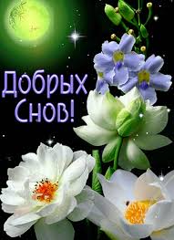 Цветы и добрых снов - Открытки - Доброй ночи скачать бесплатно