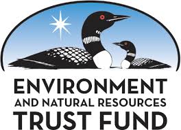 Image result for Adenia mossambicensis