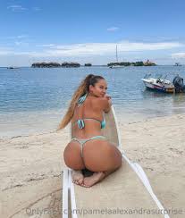 pamelaalexandrasurprise Leaked photo 5892071 - Leakedzone