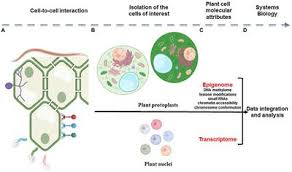We did not find results for: Plant Systems And Synthetic Biology