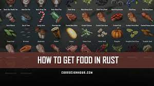 How To Get Food In Rust Farming Foraging Hunting