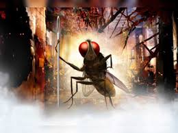 Download penguin bloom (2020) movie subtitle here in srt format. Rajamoulil Eega Eega With English Subtitles In Abroad Telugu Movie News Times Of India
