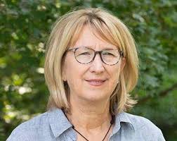 Two chairs and a green sponge: Ten Eyck Landscape Architects transform  Kingsbury Commons in Pease Park — Sightlines