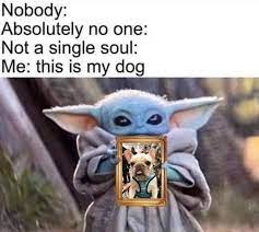 Pin By Aleah Larabell On Baby Yoda Yoda Meme Funny Dog Memes Funny Relatable Memes
