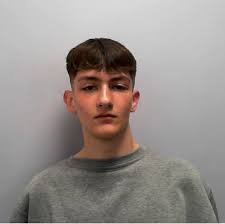 Scarborough teen locked up after 19-year-old attacked and stabbed in his  hand