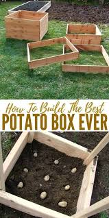 How To Build And Use A Potato Box Jardinage Hydroponique Jardin Sureleve Boites De Jardin