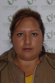 Comisión Nacional Forestal