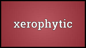Xerophytic Meaning Youtube