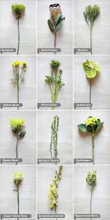 Wedding flower names you need to know. Wedding Flower Guide Wedding Ideas Nownowpolka