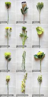 Wedding flower names you need to know. Wedding Flower Guide Wedding Ideas Nownowpolka