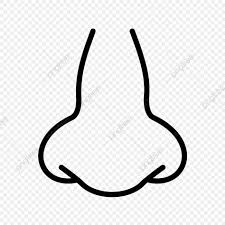  Gambar Vektor Hidung Ikon Clipart Hidung Hitam Dan Putih Ikon Hidung Hidung Png Dan Vektor Untuk Muat Turun Percuma Menggambar Hidung Gambar Hidung