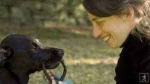 Maybe you would like to learn more about one of these? Inside Of A Dog Book By Alexandra Horowitz Official Publisher Page Simon Schuster