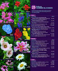 For a border that pleases all summer long, rely on a mix of colorful perennials and shrubs that can i've found that flowers with soft pastel shades get completely washed out under the harsh glare of the summer sun. 25 Robust Summer Bloomers Finegardening